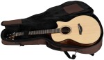 Furch Blue Plus Gc-SW CNR Active 2026