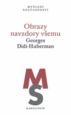Obrazy navzdory všemu - Georges Didi-Huberman