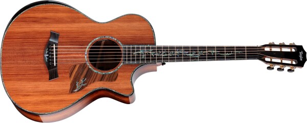 Taylor PS12ce 12-Fret Next Generation