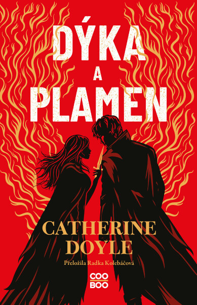 Dýka a plamen - Catherine Doyle2