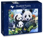 BLUEBIRD Puzzle Pandí rodina