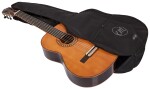 Tanglewood EM D3
