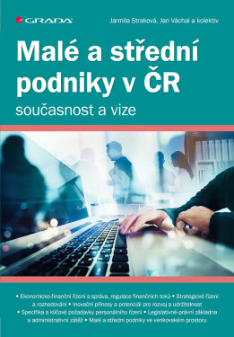Malé a střední podniky v ČR – současnost a vize - Jarmila Straková