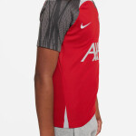 Nike Liverpool FC Strike SS Top Jr Shirt FD7088-688