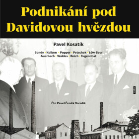 Podnikání pod Davidovou hvězdou - Pavel Kosatík - audiokniha