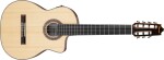 Ibanez GA3007CE NT