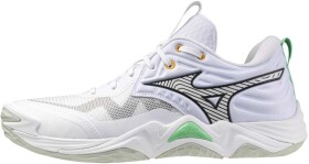 Mizuno Wave Momentum Elite V1GA251221