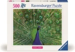 Ravensburger Puzzle: Majestátní páv