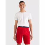 Pánská trička STRETCH CN TEE SS 3PACK UM0UM031380XS Tommy Hilfiger