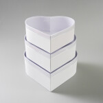 Cake star Dárkový box "srdce" pruhledné víko 23x20x8,5cm "S"