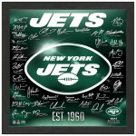 Obraz New York Jets NFL 2023 24 Signature Team Logo