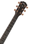 Taylor 722ce KOA (rozbalené)