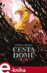 Cesta domů