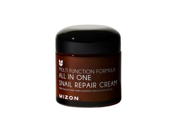 MIZON All In One Snail Repair Pleťový krém se šnečím extraktem 75 ml