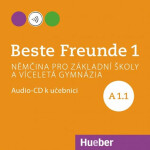 Beste Freunde A1/1 učebnici