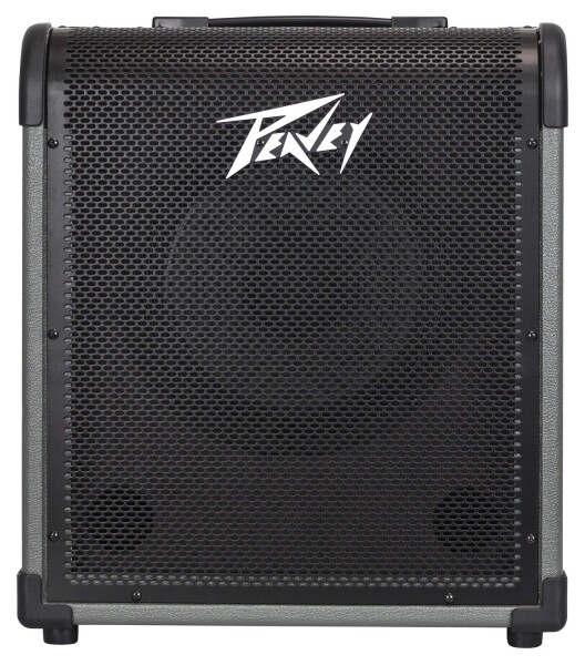 Peavey Max 100