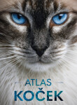 Atlas koček