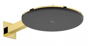 HANSGROHE - Raindance Alive S Hlavová sprcha, průměr 30 cm, 2 proudy, EcoSmart, leštěný vzhled zlata 24541990