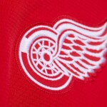 Mitchell & Ness Pánský dres Detroit Red Wings NHL Dylan Larkin #71 2016 Stadium Series Premium Power Play Velikost: L