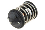PIETRO Termostat BMW 1(E88,E81) 3(E93,F34) 5(F10) X1(E84) X3(F25) diesel