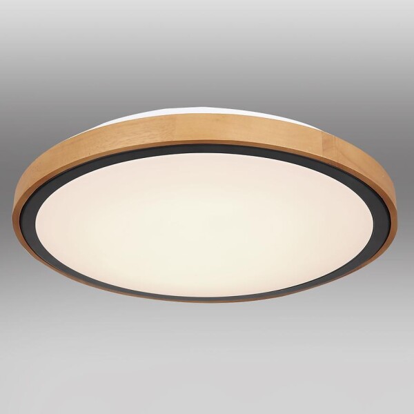 Svítidlo 41764-24 LED 24W černá PL