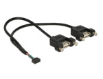 Delock Kabel USB 2.0 pin konektor (F) 2.00 mm 10 pin - 2 x USB 2.0 A (F) panel pro montáž 0.25m (84832)