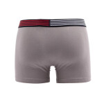 Flex Trunk UM0UM02411-PTM - Tommy Hilfiger M