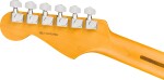 Fender American Professional Stratocaster HSS MN BLK