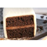 IREKS ENZYMA Karina Moccacino 250g