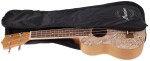 Bamboo U-21 Elixir