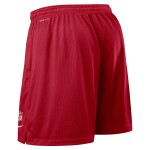 Nike Pánské kraťasy Tampa Bay Buccaneers NFL 2025 Sideline Reversible Mesh Dri-FIT Shorts Velikost: L