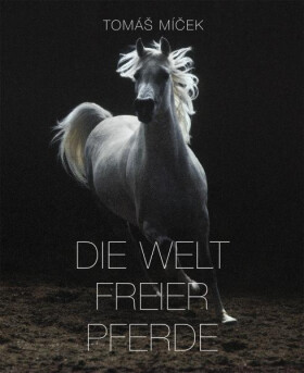 Die Welt Freier Pferde Tomáš Míček