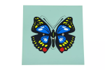 Moyo Montessori Moyo Montessori Puzzle - motýl