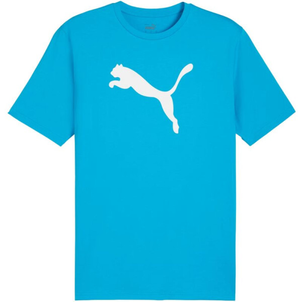 Puma Team Rise Logo Jersey Cotton M 658705 02 pánské m