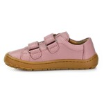 Froddo Baze G3130284-8 Pink celoroční