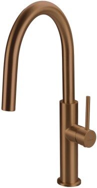 DEANTE - Kuchyňská baterie Evora, broušený bronz BQJ_C62M