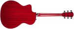 Taylor 224ce Plus Special Edition Red