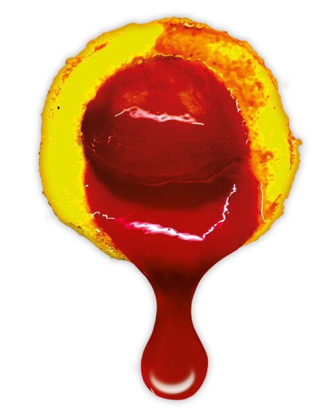 LK Baits Nutrigo Extra Mango,LK Baits Nutrigo Extra Mango