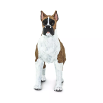 Safari Ltd. Safari Ltd. Figurka - Německý boxer
