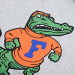 Mitchell & Ness Pánská mikina Florida Gators NCAA Pinnacle Heavyweight Fleece Hoodie Velikost: S