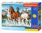 Castorland 222056 Volání přirody