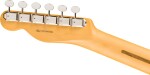 Fender American Professional Classic Telecaster SSS RW Faded Sherwood