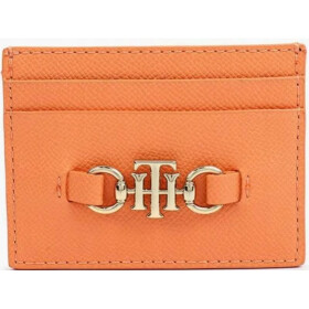 TOMMY HILFIGER Dámské ETUI AW0AW10241 dámské univerzita