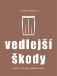 Vedlejší škody