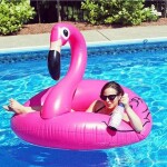 SWIM RING Nafukovací kolo Plameňák Flamingo 90cm