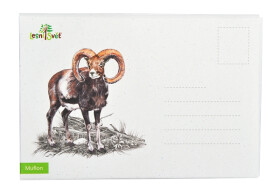 Puzzle do kapsy - Muflon