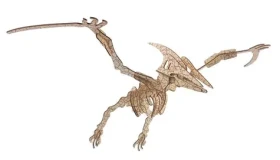 Woodcraft Dřevěné 3D puzzle Pterosaur