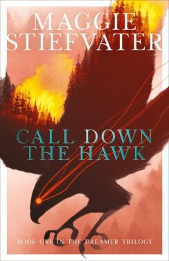 Call Down the Hawk (The Dreamer Trilogy #1) - Maggie Stiefvater