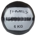 HMS WLB6 / Wall ball / 6 kg
