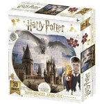 Puzzle 3D Harry Potter - Bradavice a Hedvika / 500 dílků - kolektiv